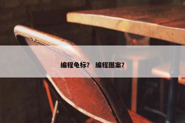 编程龟标？ 编程图案？