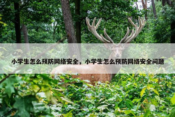 小学生怎么预防网络安全，小学生怎么预防网络安全问题