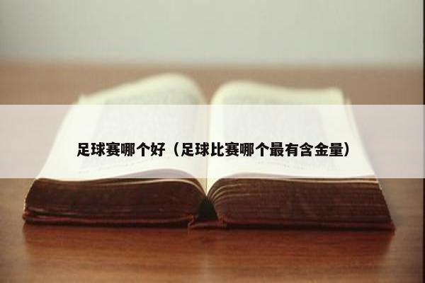 足球赛哪个好（足球比赛哪个最有含金量）