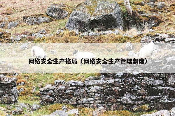 网络安全生产格局（网络安全生产管理制度）