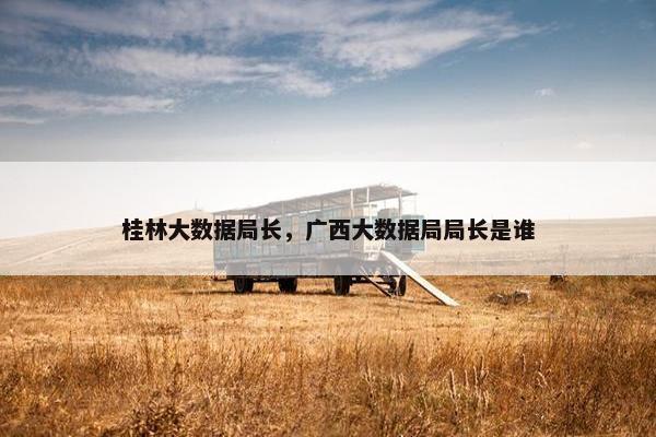 桂林大数据局长，广西大数据局局长是谁