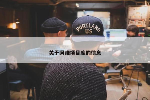 关于网赚项目库的信息