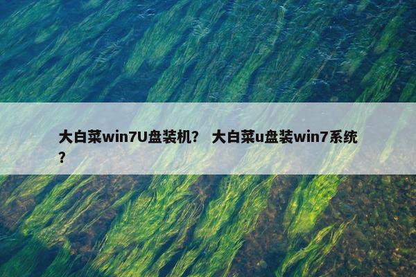 大白菜win7U盘装机？ 大白菜u盘装win7系统？