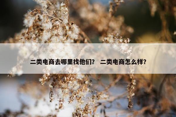 二类电商去哪里找他们？ 二类电商怎么样？