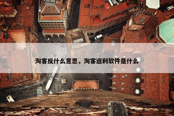淘客反什么意思，淘客返利软件是什么