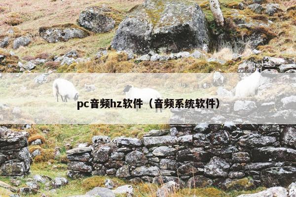 pc音频hz软件（音频系统软件）