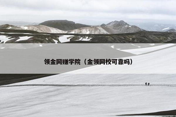 领金网赚学院（金领网校可靠吗）