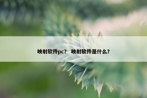 映射软件pc？ 映射软件是什么？