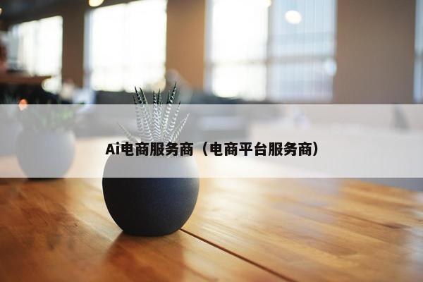 Ai电商服务商（电商平台服务商）