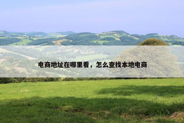 电商地址在哪里看，怎么查找本地电商