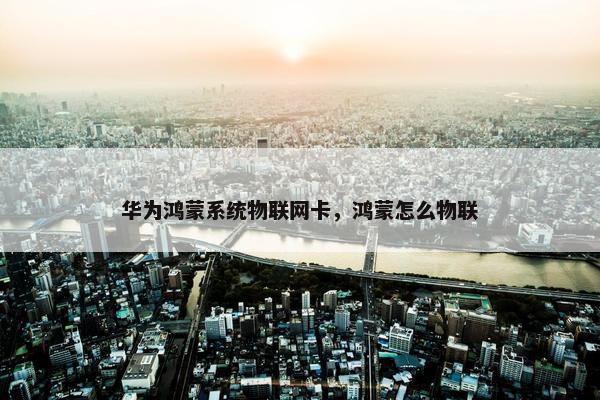 华为鸿蒙系统物联网卡，鸿蒙怎么物联