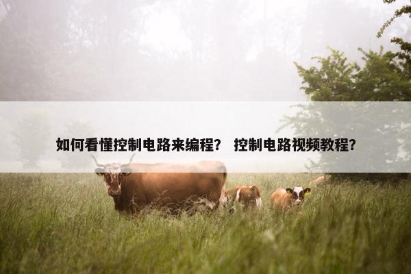 如何看懂控制电路来编程？ 控制电路视频教程？