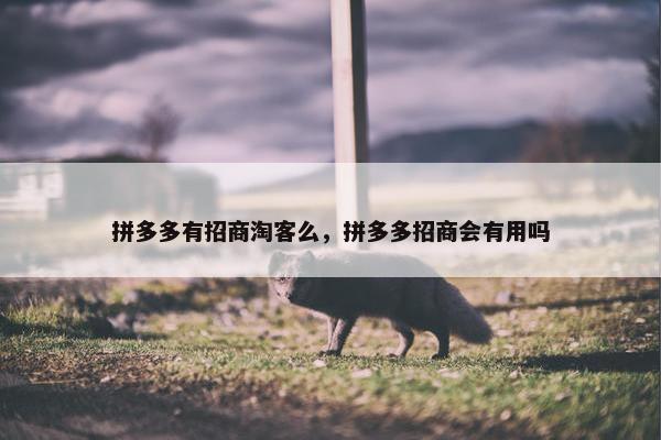 拼多多有招商淘客么，拼多多招商会有用吗