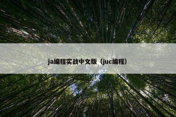 ja编程实战中文版（juc编程）