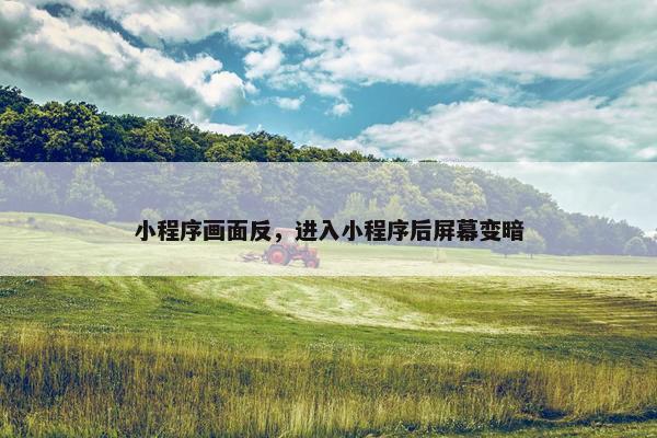 小程序画面反，进入小程序后屏幕变暗