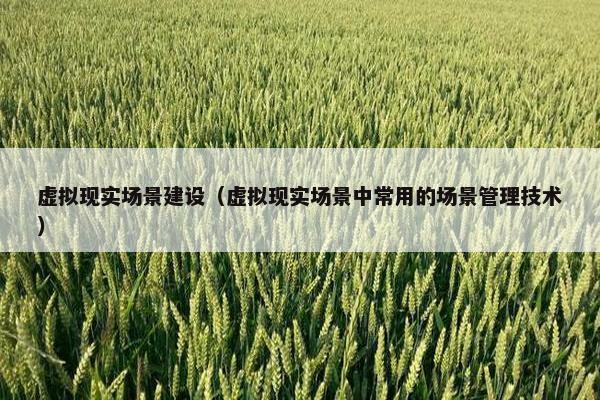 虚拟现实场景建设（虚拟现实场景中常用的场景管理技术）