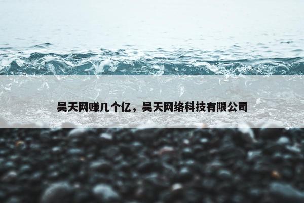 昊天网赚几个亿，昊天网络科技有限公司