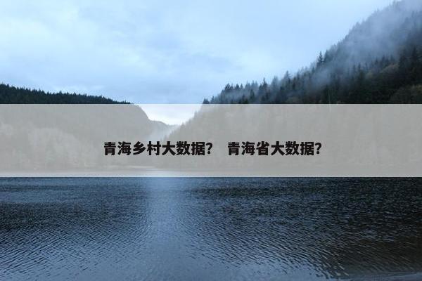 青海乡村大数据？ 青海省大数据？