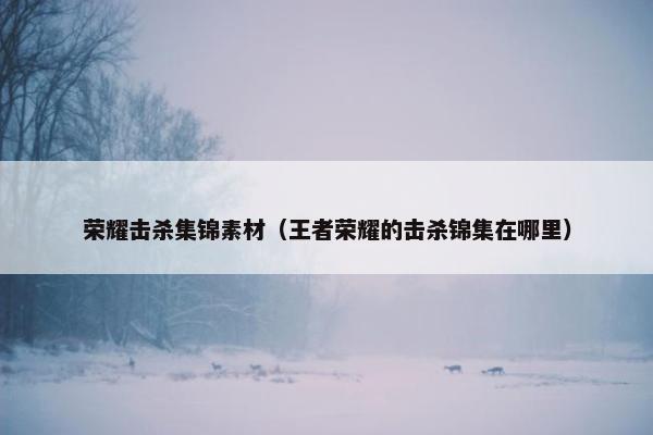 荣耀击杀集锦素材（王者荣耀的击杀锦集在哪里）
