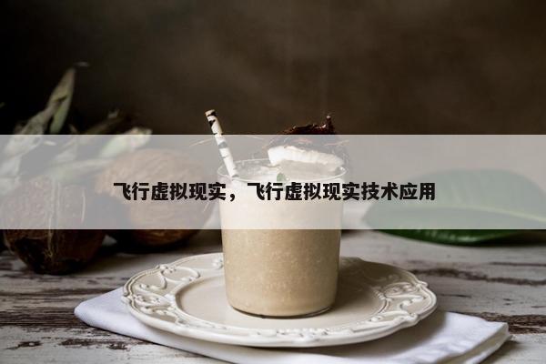 飞行虚拟现实，飞行虚拟现实技术应用