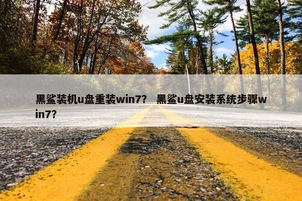 黑鲨装机u盘重装win7？ 黑鲨u盘安装系统步骤win7？