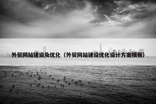 外贸网站建设及优化（外贸网站建设优化设计方案模板）