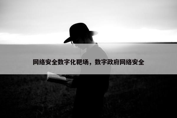 网络安全数字化靶场，数字政府网络安全