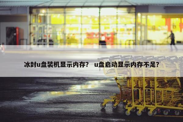 冰封u盘装机显示内存？ u盘启动显示内存不足？