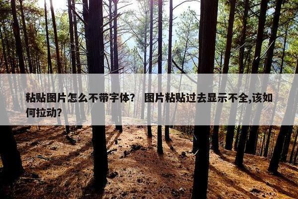 粘贴图片怎么不带字体？ 图片粘贴过去显示不全,该如何拉动？
