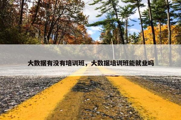 大数据有没有培训班，大数据培训班能就业吗