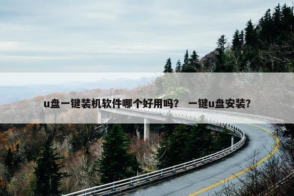 u盘一键装机软件哪个好用吗？ 一键u盘安装？