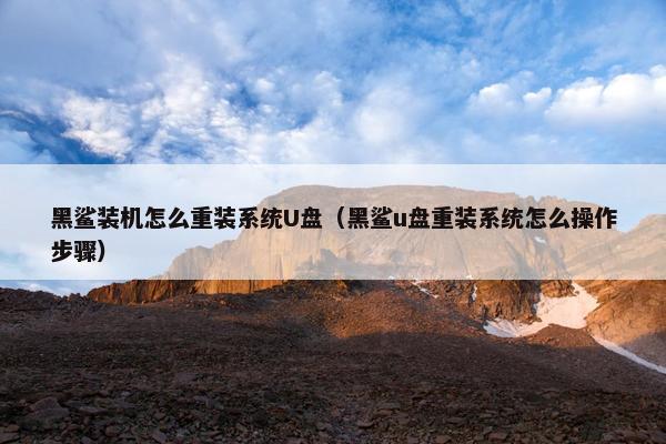 黑鲨装机怎么重装系统U盘（黑鲨u盘重装系统怎么操作步骤）