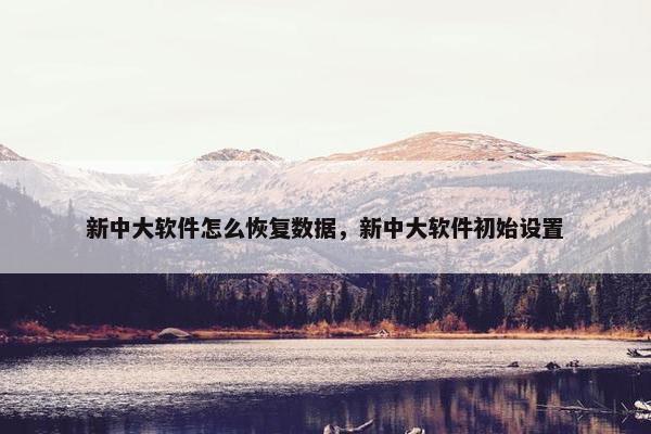 新中大软件怎么恢复数据，新中大软件初始设置