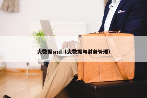 大数据snd（大数据与财务管理）