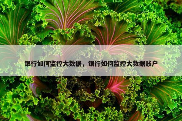 银行如何监控大数据，银行如何监控大数据账户