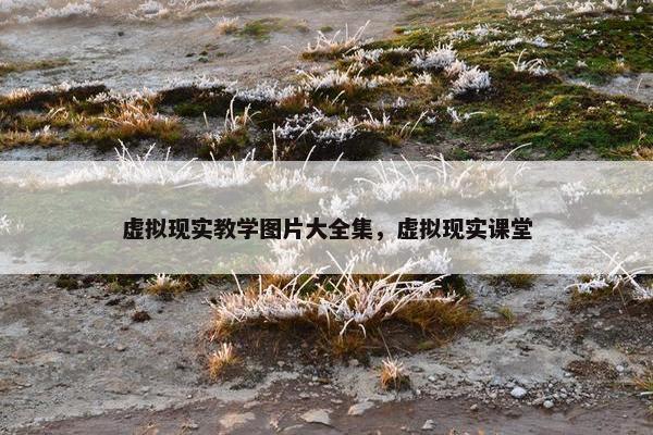 虚拟现实教学图片大全集，虚拟现实课堂