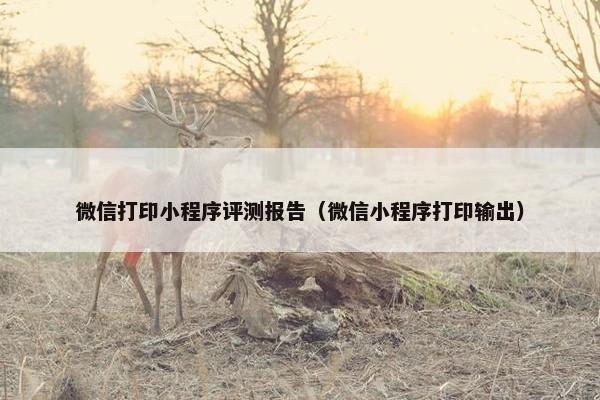 微信打印小程序评测报告（微信小程序打印输出）