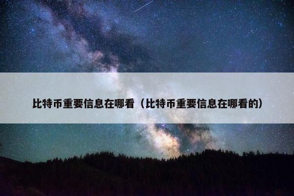 比特币重要信息在哪看（比特币重要信息在哪看的）