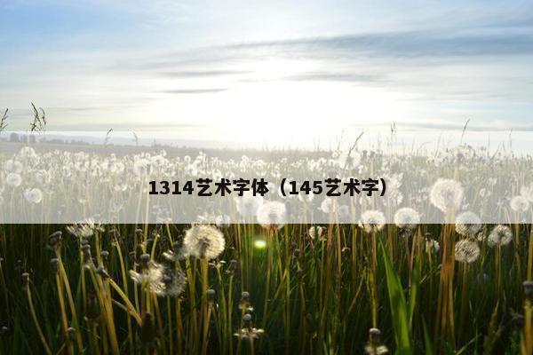 1314艺术字体（145艺术字）