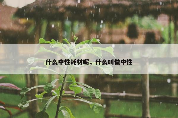 什么中性耗材呢，什么叫做中性