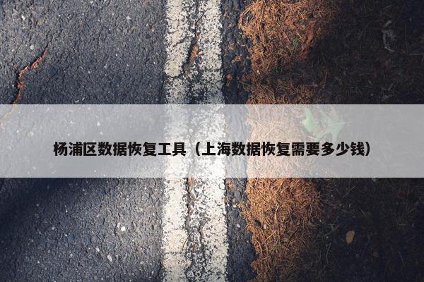 杨浦区数据恢复工具（上海数据恢复需要多少钱）
