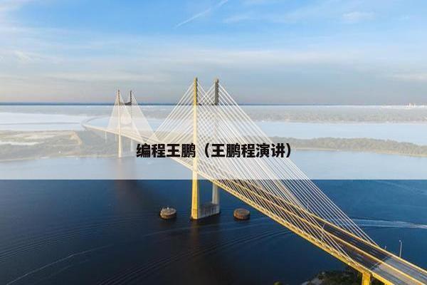 编程王鹏（王鹏程演讲）
