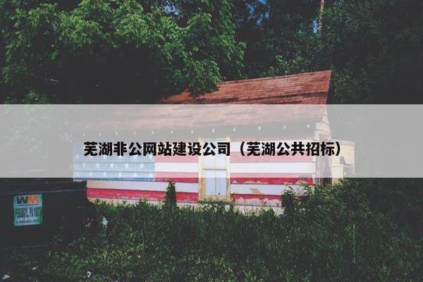 芜湖非公网站建设公司（芜湖公共招标）