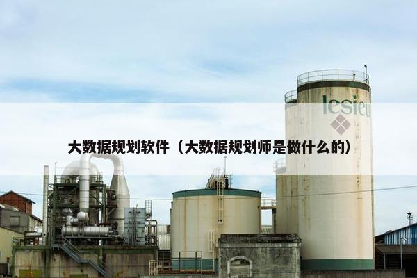 大数据规划软件（大数据规划师是做什么的）