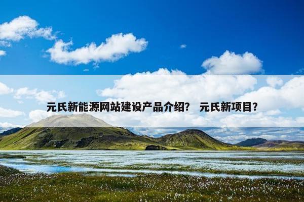 元氏新能源网站建设产品介绍？ 元氏新项目？