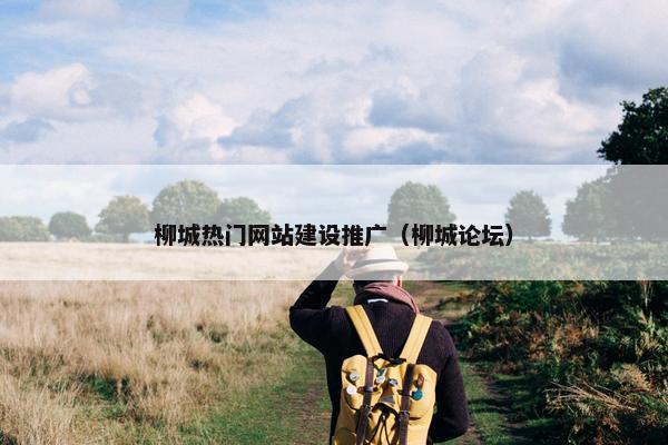 柳城热门网站建设推广（柳城论坛）