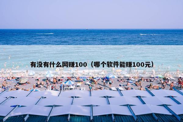 有没有什么网赚100（哪个软件能赚100元）