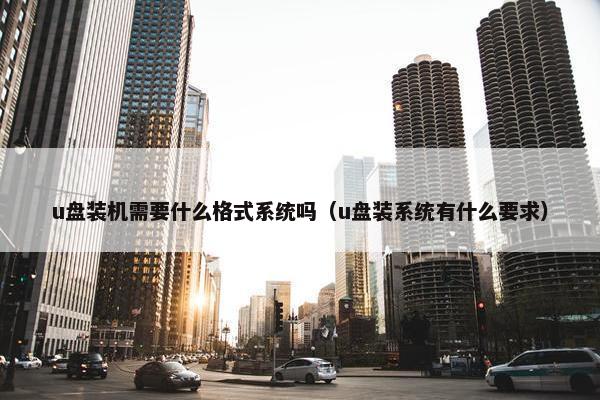 u盘装机需要什么格式系统吗（u盘装系统有什么要求）