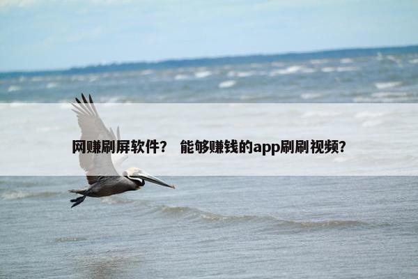 网赚刷屏软件？ 能够赚钱的app刷刷视频？