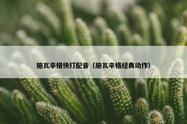 施瓦辛格快打配音（施瓦辛格经典动作）